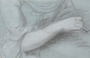 女性の右腕の研究