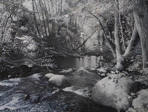 川の風景、2024年（キャンバスに油彩） 作： ジェローム・グロモー