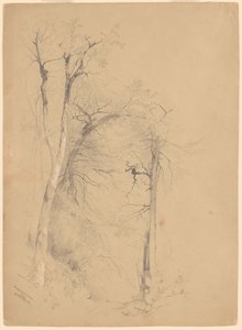 カータースキル クローブ 作： Jervis McEntee
