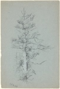 木の研究 作： Jervis McEntee