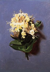 7月（12のシリーズから） 作： Jessica Hayllar