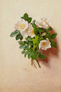 6月（一連の12から） 作： Jessica Hayllar