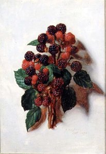 10月（12のシリーズから） 作： Jessica Hayllar
