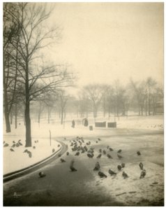 ボストンコモン、ボストン、アメリカ、1902-10年頃 作： Jessie Tarbox Beals
