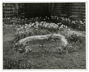 Wm H Wells夫妻の庭 265 W 11th St, New York, USA 作： Jessie Tarbox Beals