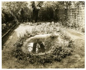 W.H.Wells夫人の庭 アメリカ、ニューヨーク、グリニッジ・ビレッジ、265 W 11th, c.1936-37（ゼラチンシルバー写真 作： Jessie Tarbox Beals