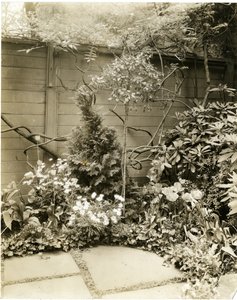ジョン・モーガン夫妻、39 W 11 St, Greenwich Village, New York, USA, c.1939-40（ゼラチンシルバー写真 作： Jessie Tarbox Beals