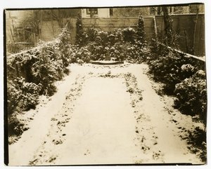 ジョン・モーガン夫妻、39 W 11 St、1938-39年（ゼラチンシルバー写真 作： Jessie Tarbox Beals
