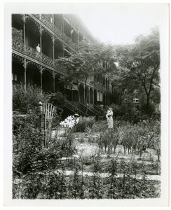 Rhinelander House gardens, W 11th St , Greenwich Village, New York, USA, c.1905-38 （ゼラチンシルバー写真