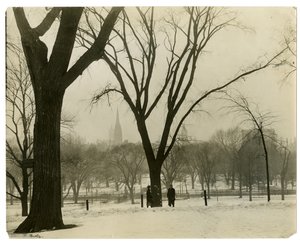 アメリカ、ボストン、ザ・コモン、1902-10年頃（ゼラチンシルバー写真 作： Jessie Tarbox Beals