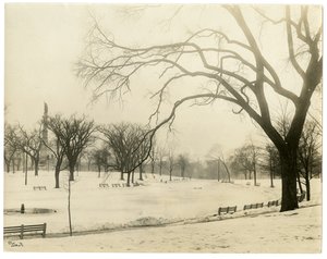 アメリカ、ボストン、ザ・コモン、1902-10年頃（ゼラチンシルバー写真 作： Jessie Tarbox Beals