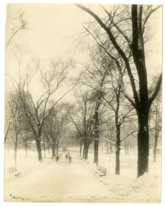 アメリカ、ボストン、ザ・コモン、1902-10年頃（ゼラチンシルバー写真 作： Jessie Tarbox Beals