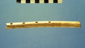 ダビデ市フルート、紀元前799〜600年頃（骨） 作： Jewish School