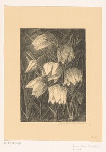 ラッピングの花 作： Jo van Oosten Slingeland (signed by artist)