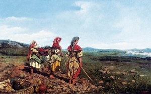 登場人物のいるナポリの風景。田園地帯で畑を耕すナポリの農民たち。ジョアキム・ヴァイレーダ・イ・ヴィラ（1843-1894）作 作： 