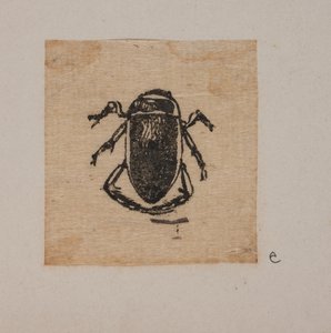 虫 作： Joakim Frederik Skovgaard