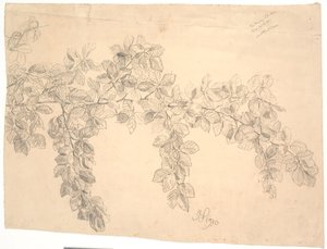 ブナの枝の研究 作： Joakim Frederik Skovgaard