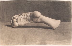 石膏の後に描画します。 足
