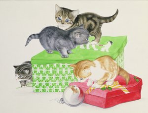 子猫4匹