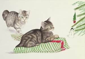 子猫2匹