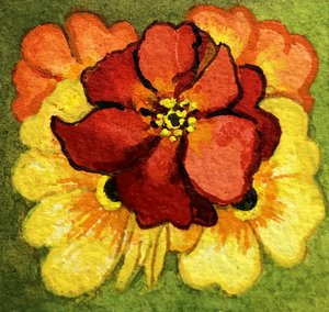 5つのプリムローズ（赤、黄、オレンジ）（水彩画 作： Joan Thewsey