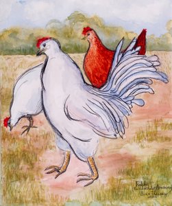 Ralphy、The Cockerel、2005、（鉛筆と水彩） 作： Joan Thewsey