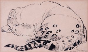 Sketch、Leopard、London Zoo 2005、（pen and ink） 作： Joan Thewsey