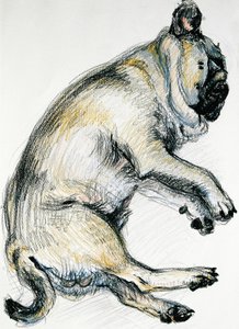 Sleeping Pug One、2000、（オイルパステル）