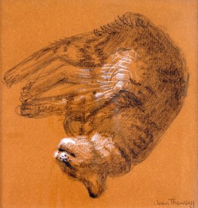 ねこねこねこ、2005年（黒鉛と白パステル）