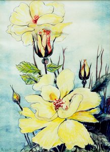 サフォークブリーズの黄色いバラ、2005、（水彩） 作： Joan Thewsey