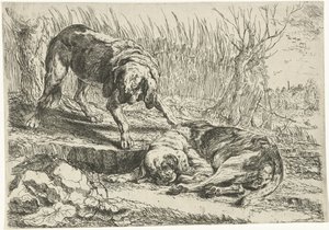 二匹の犬 犬（シリーズタイトル） 作： Joannes Fijt