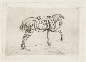 鞍馬 作： Joannes Pieter Visser Bender
