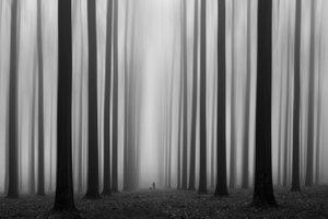 霧の立ち込める森の小道 作： Jochen Bongaerts