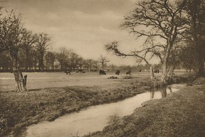 ビバリーブルックがリッチモンドのロイヤルハンティングパークを流れるところ、c1935。 作： Joel