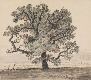  作： Johan Christian Dahl