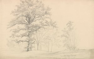  作： Johan Christian Dahl