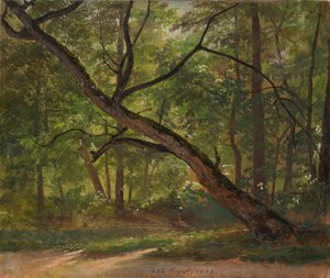 ドレスデン近郊の大庭園の敷地 作： Johan Christian Dahl