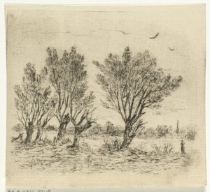 柳行 作： Johan Frederik Croockewit