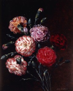 カーネーション、 作： Johan Laurents Jensen