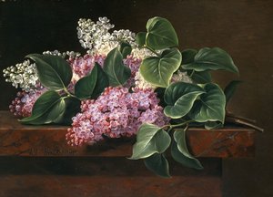 棚の上のライラック、 作： Johan Laurents Jensen