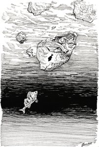 ビニールシートの下の魚