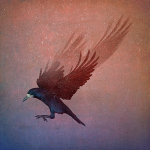 鳥の王国、2018年（フォトアート） 作： Johan Lilja