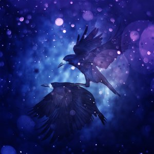 鳥の王国 3、2018 (デジタル フォト アート) 作： Johan Lilja