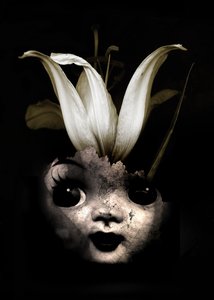 人形の花、2013年（写真） 作： Johan Lilja