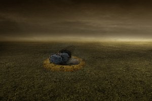 ゴールの終わり、2013年（写真） 作： Johan Lilja