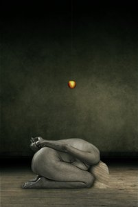Hide my self、2013年（写真加工） 作： Johan Lilja