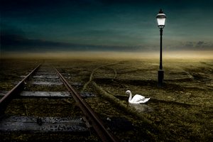 鉄道、2013年（写真） 作： Johan Lilja