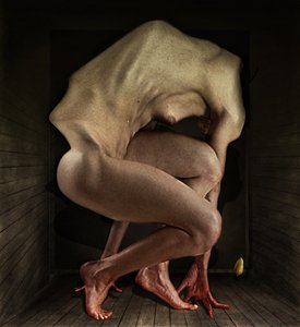 恥、2012年（写真） 作： Johan Lilja