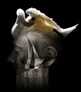 白鳥、2013年（写真） 作： Johan Lilja