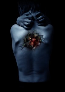 ハエ、2018年（写真） 作： Johan Lilja